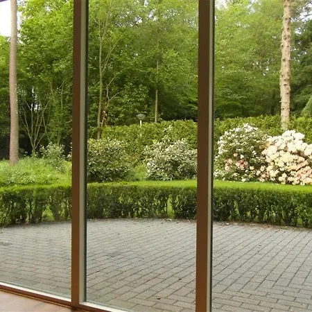 Bos Heide Rust Privacy Omheinde Tuin Op De Veluwe 6 Personen * Epe