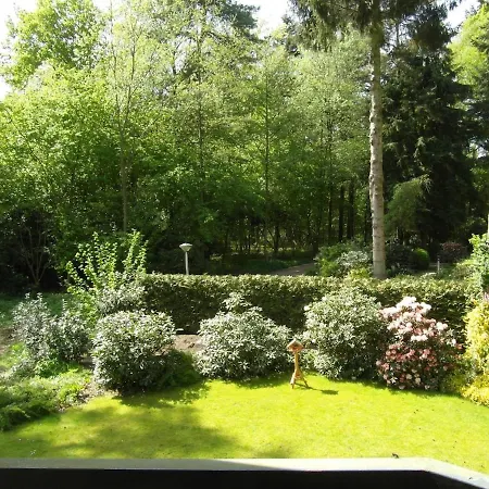 Bos Heide Rust Privacy Omheinde Tuin Op De Veluwe 6 Personen Ferienhaus Epe