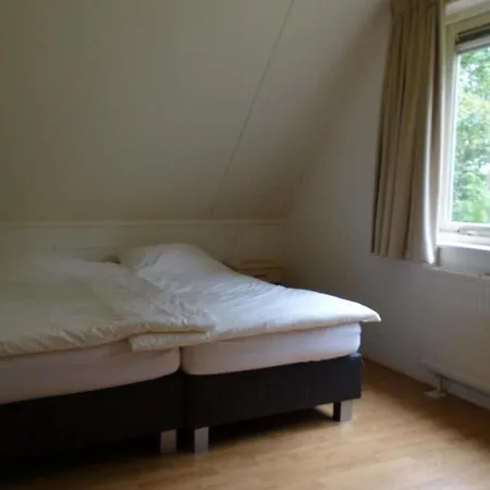Bos Heide Rust Privacy Omheinde Tuin Op De Veluwe 6 Personen