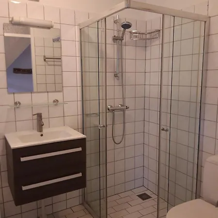 Bos Heide Rust Privacy Omheinde Tuin Op De Veluwe 6 Personen
