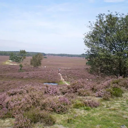 Bos Heide Rust Privacy Omheinde Tuin Op De Veluwe 6 Personen Ferienhaus