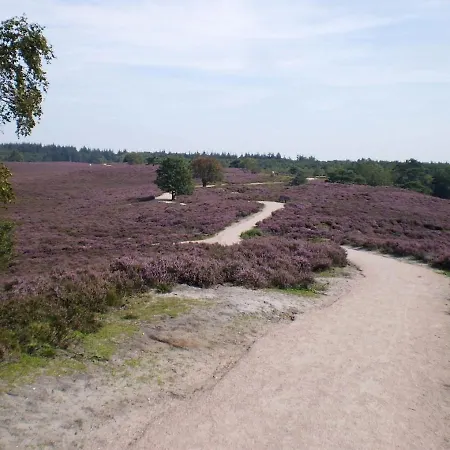 Ferienhaus Bos Heide Rust Privacy Omheinde Tuin Op De Veluwe 6 Personen Epe