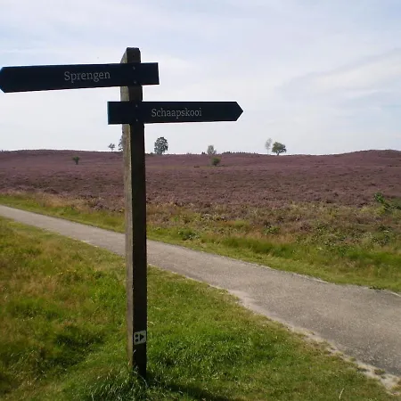 Bos Heide Rust Privacy Omheinde Tuin Op De Veluwe 6 Personen *