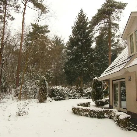 Bos Heide Rust Privacy Omheinde Tuin Op De Veluwe 6 Personen *
